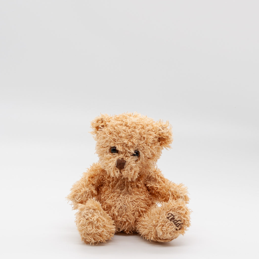 Teddy