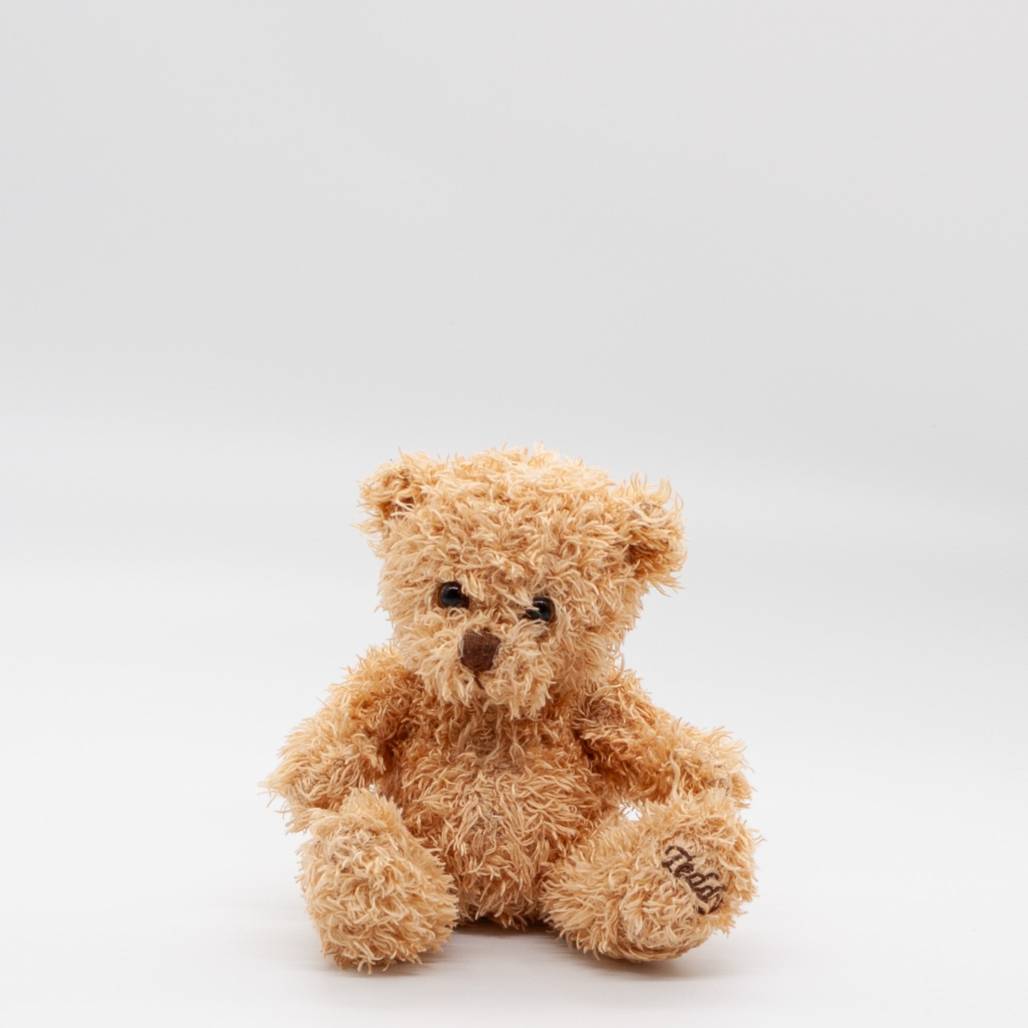 Teddy