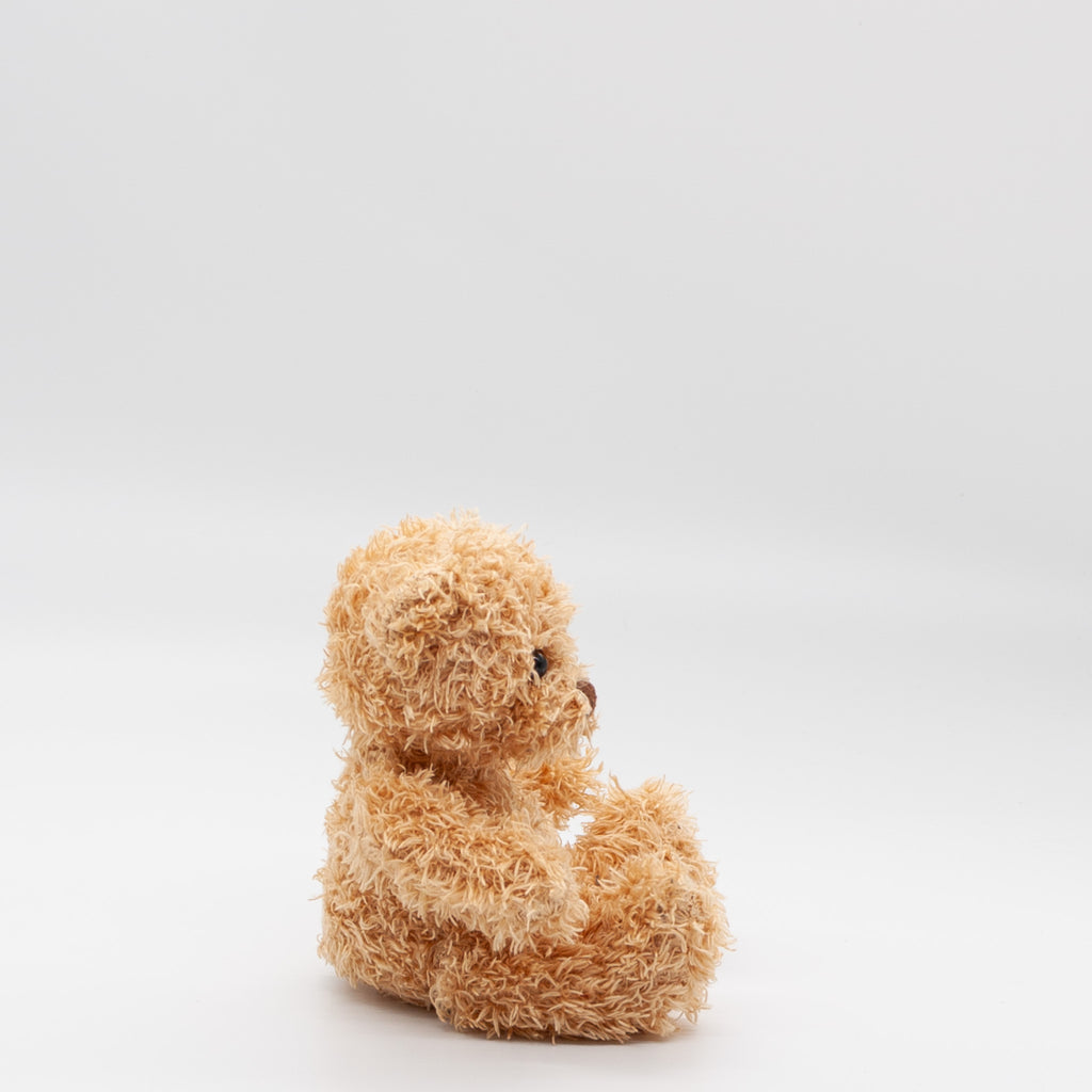 Teddy