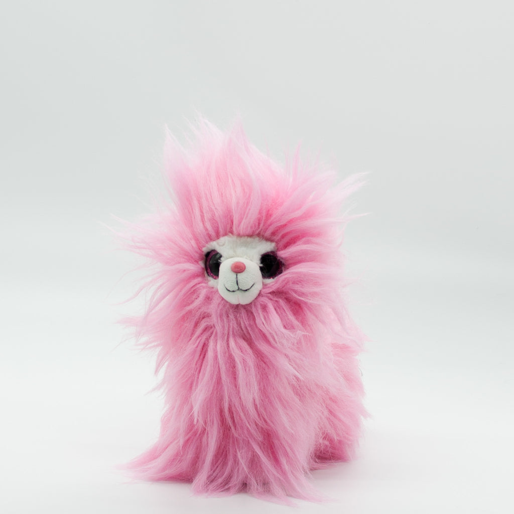 Pompom