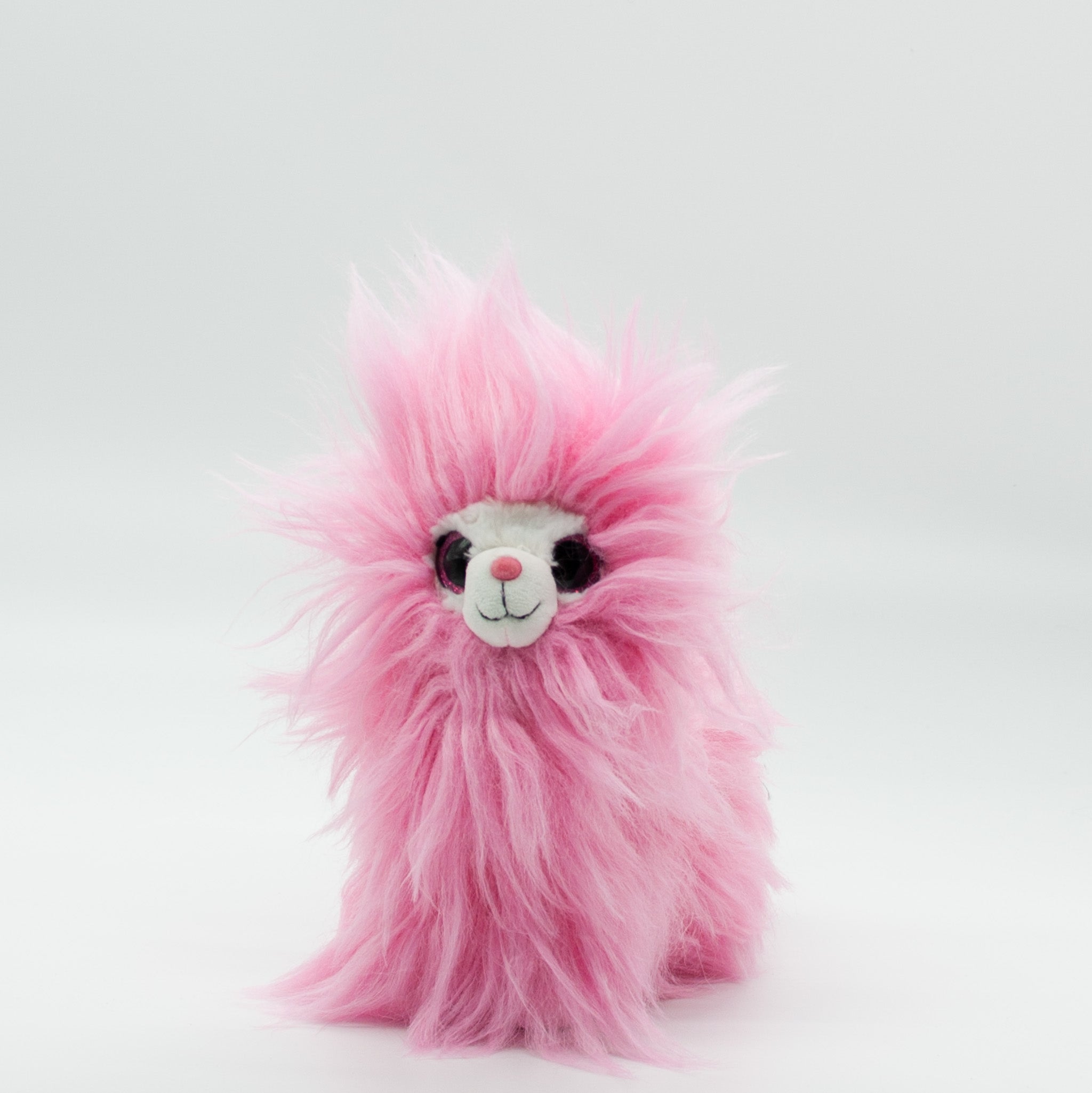 Pompom