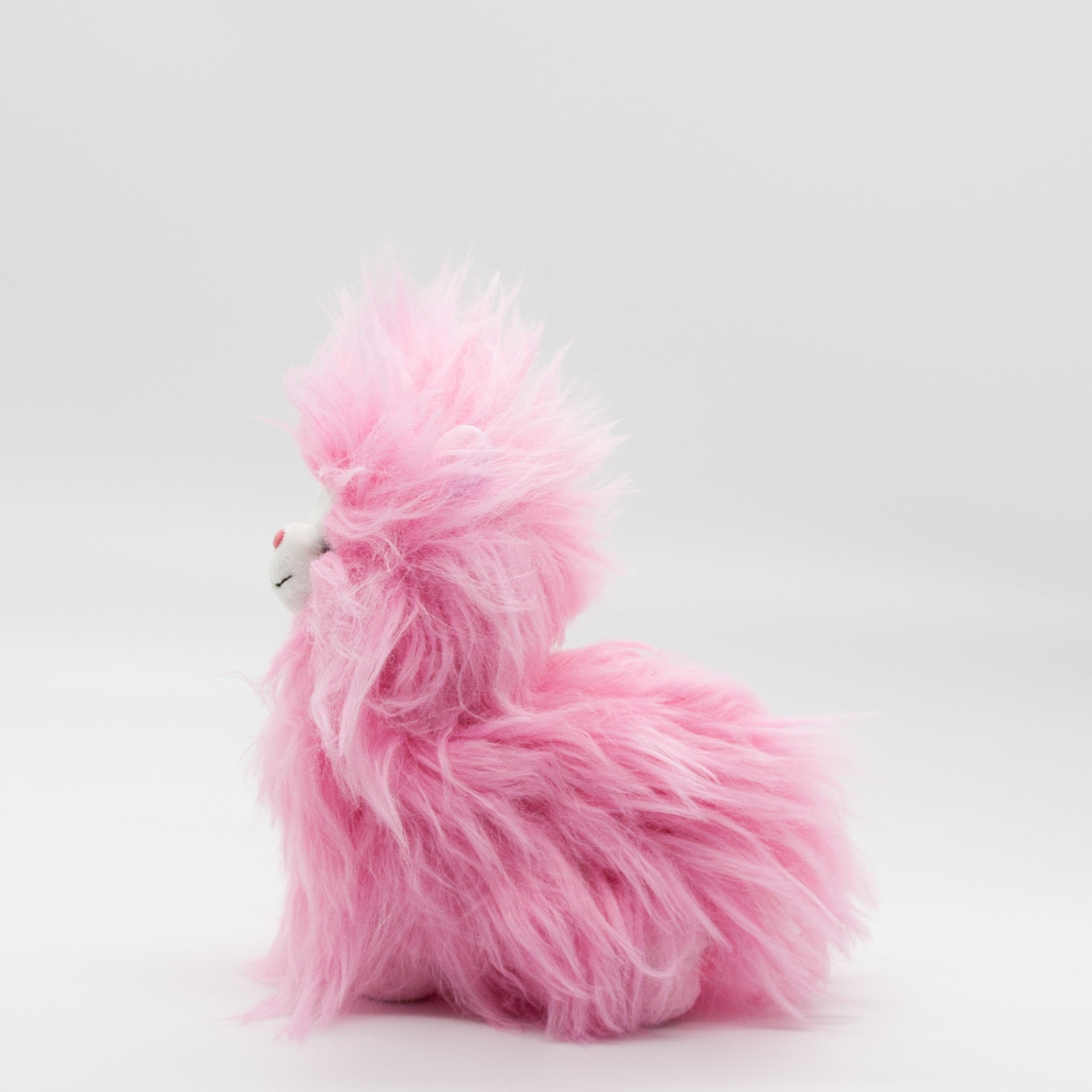 Pompom
