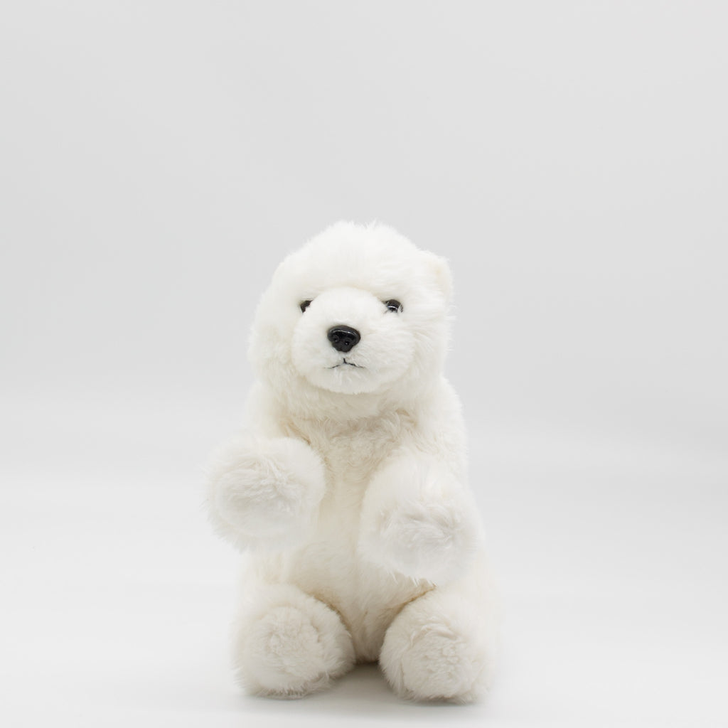 Nanuq