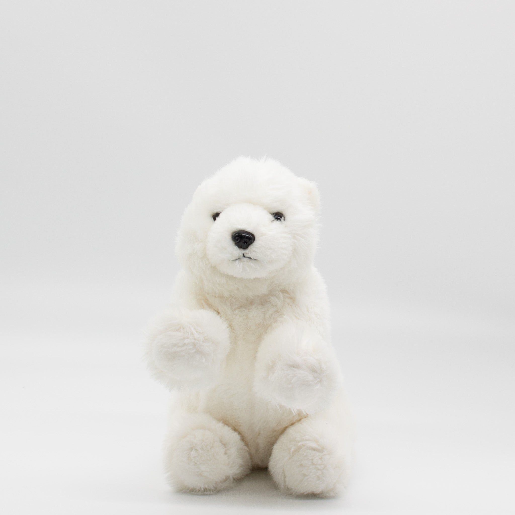 Nanuq