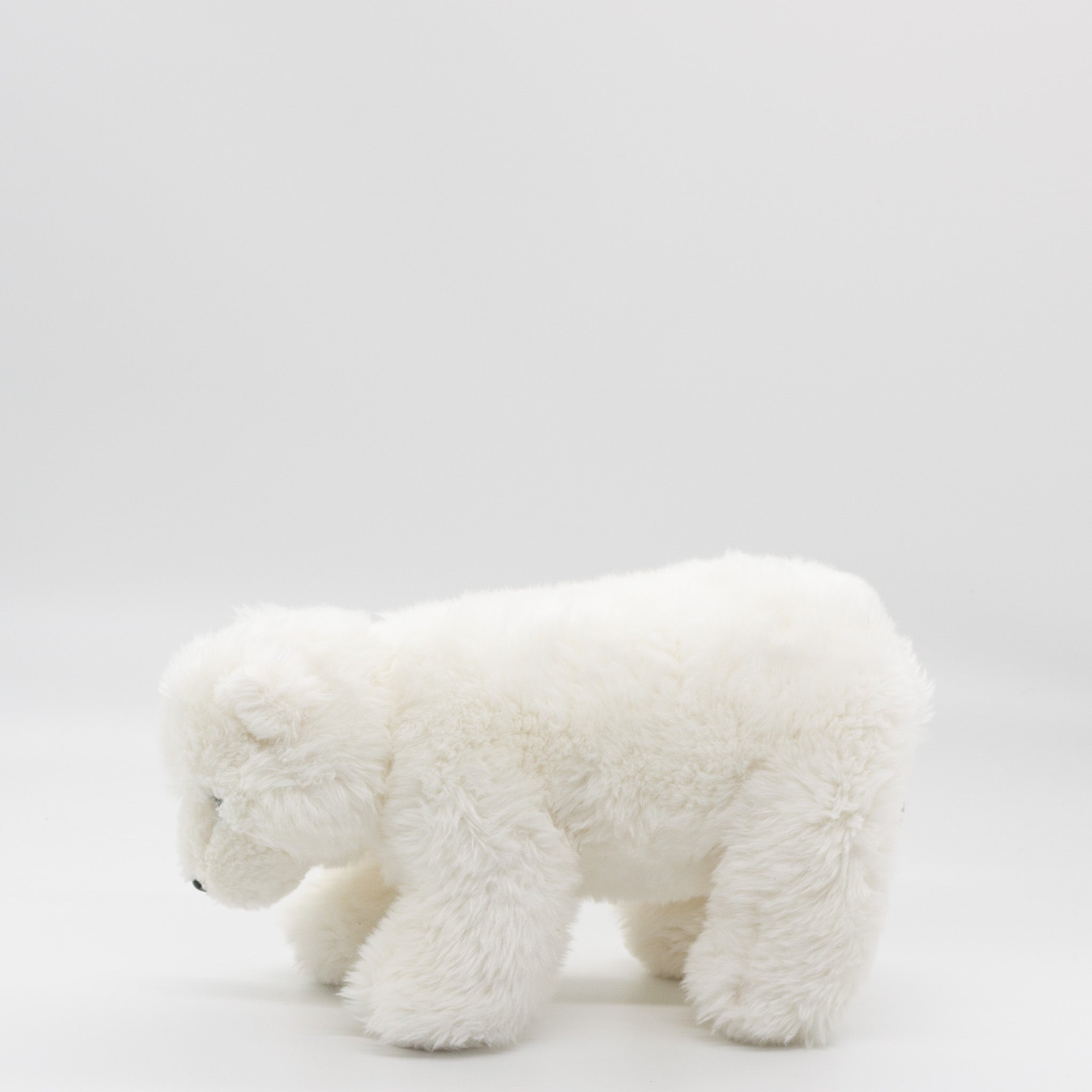 Nanuq